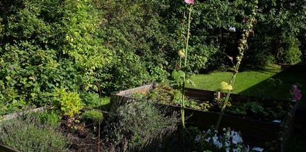 Vi har højbede med blomster og krydderurter på legepladsen